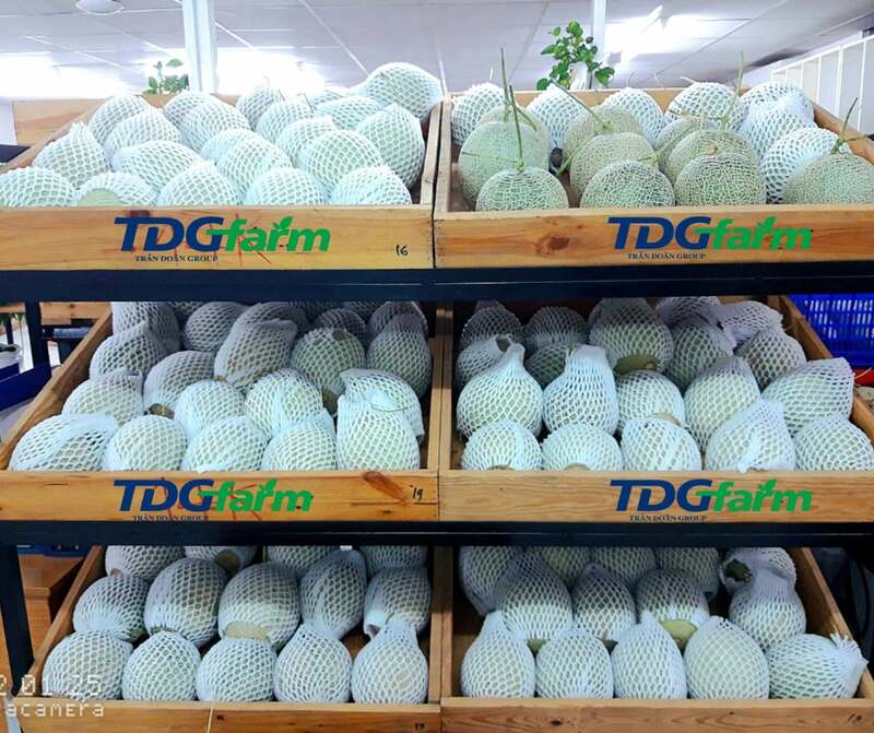 Hình ảnh công ty TDG Farm